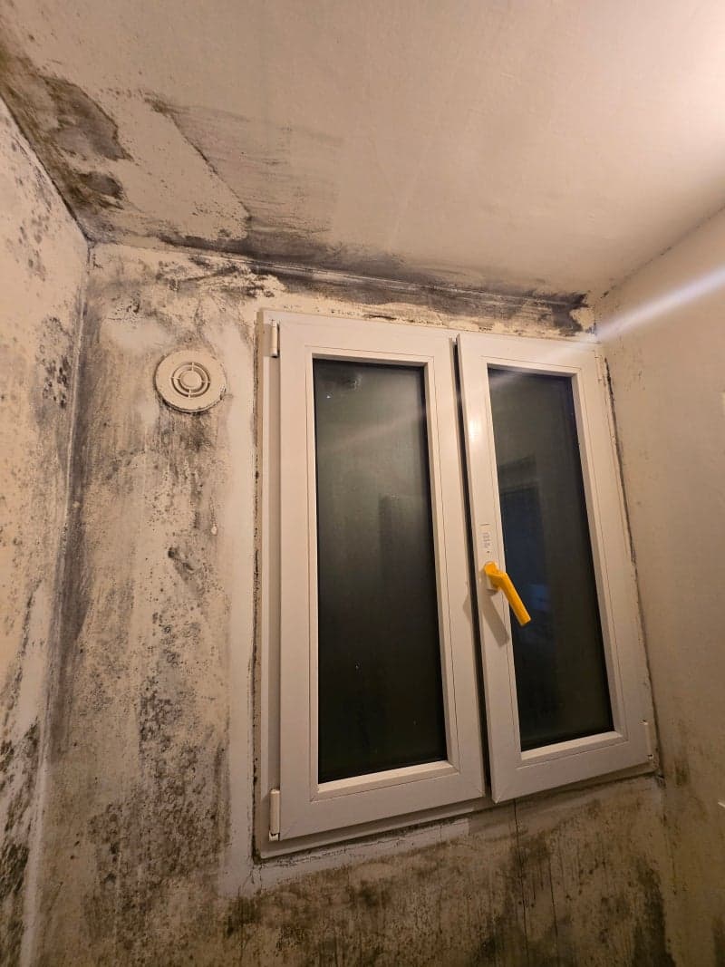 [세탁실 곰팡이 제거] 결로와 습기의 온상, 근본 원인부터 해결해야 합니다 현장 사진
