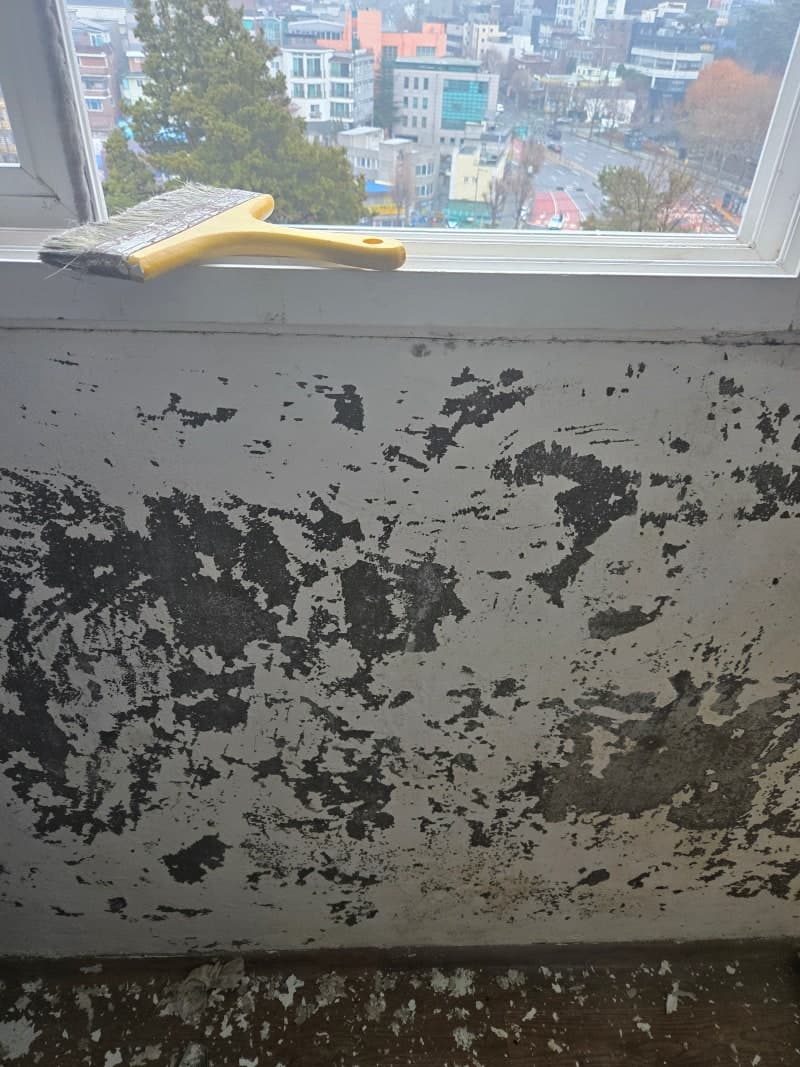 결로가 만들어낸 최악의 베란다 곰팡이 완전 제거 시공기 [광남] 현장 사진