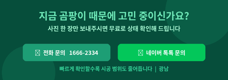 화장실 곰팡이,방치하면 안 되는 이유[광남] 현장 사진