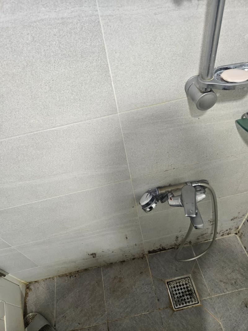 수도권 벽지,베란다,결로 곰팡이 제거 믿을수 있는 전문업체 '광남' 현장 사진