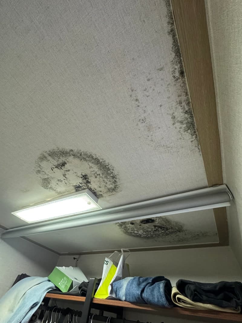 맞바람 환기가 어려운 드레스룸 천장 곰팡이 현장 사진