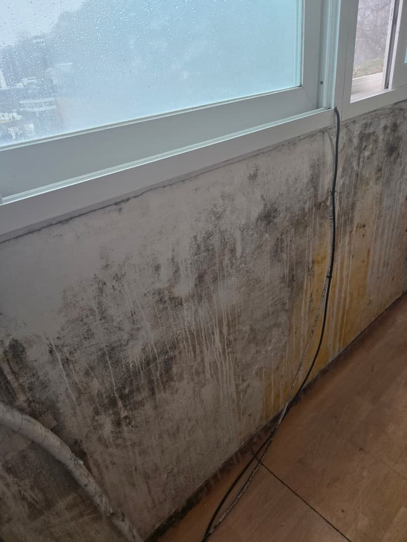 베란다 벽 곰팡이, 페인트 벗겨지는 진짜 이유 현장 사진