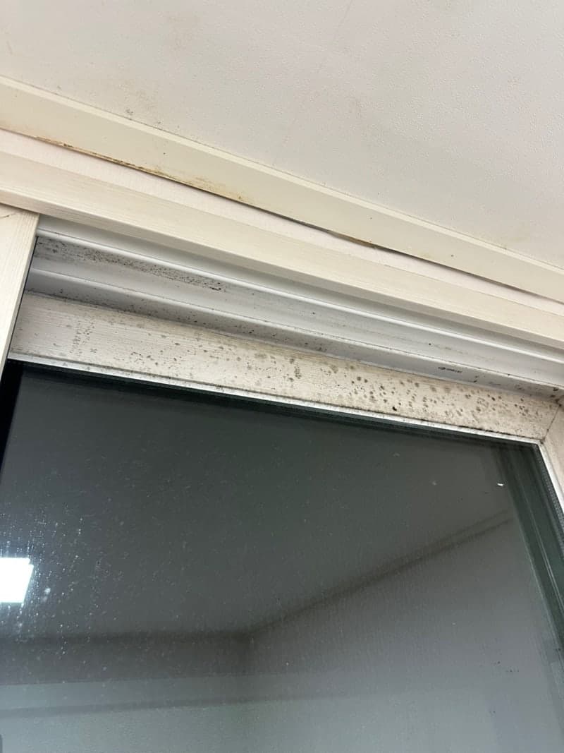 벽지 · 창틀 · 화장실 곰팡이 제거는 이렇게 진행됩니다. 현장 사진