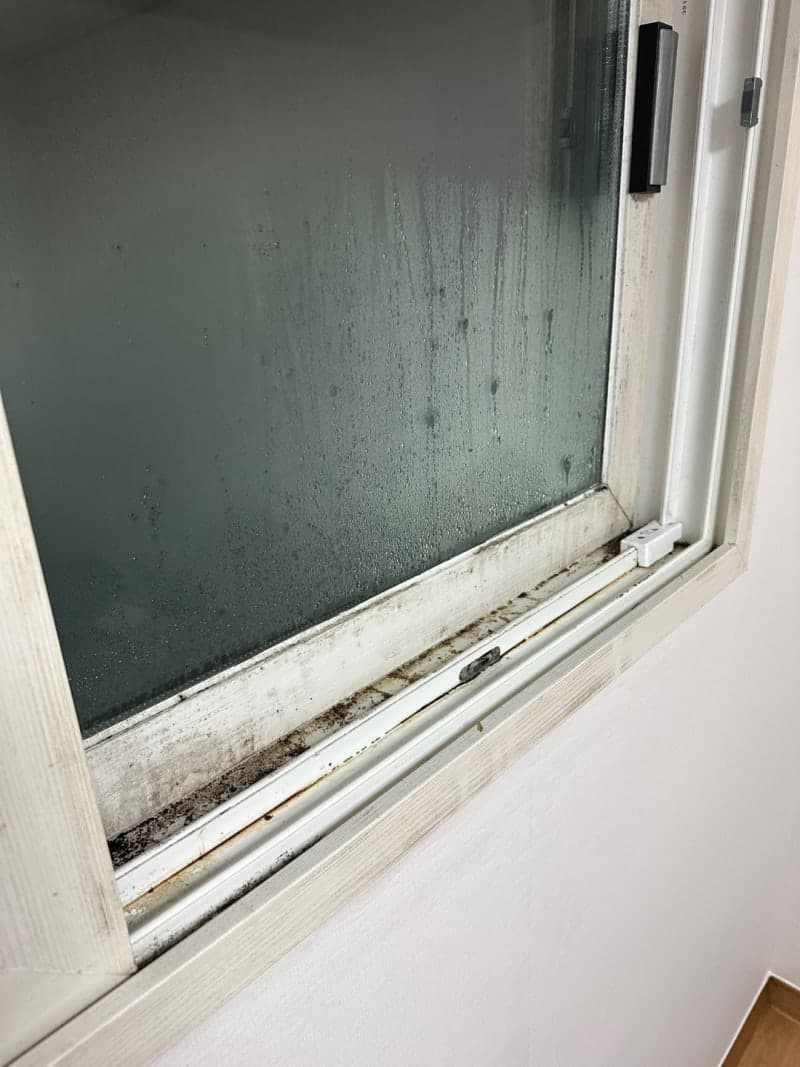 벽지 · 창틀 · 화장실 곰팡이 제거는 이렇게 진행됩니다. 현장 사진