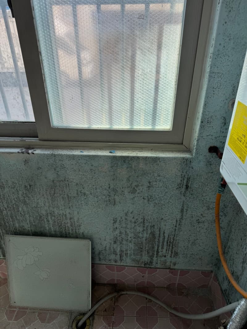 화장실,베란다 곰팡이제거 시공 사례