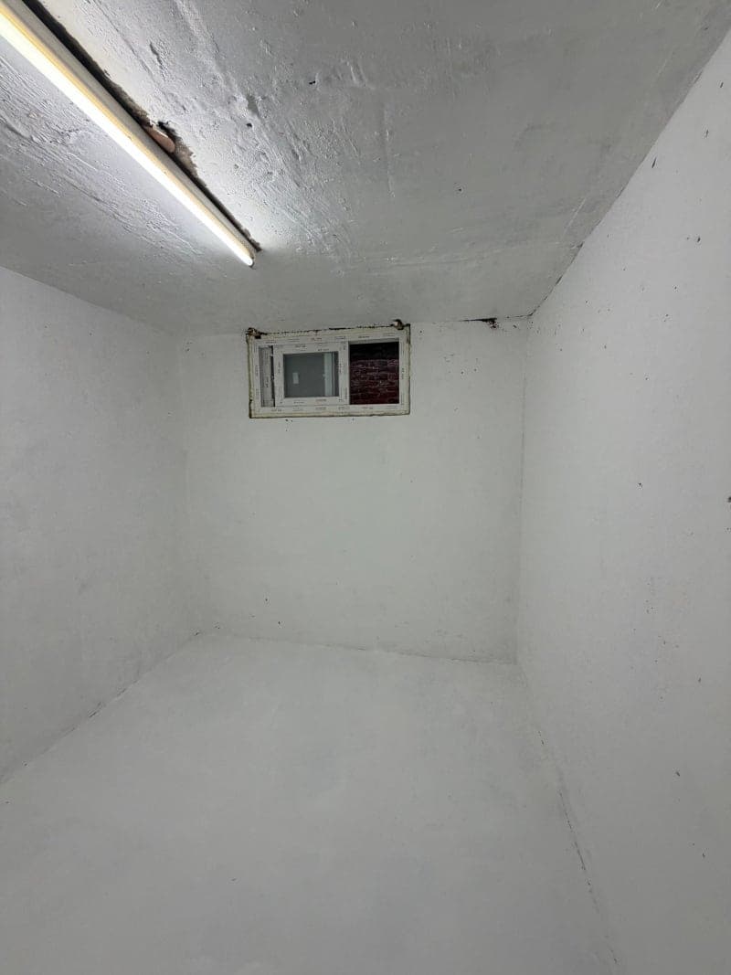 천장부터 장판까지방 전체를 뒤덮은 곰팡이 현장 사진