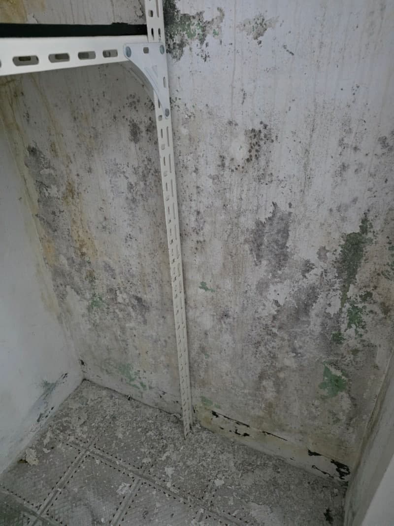 베란다 곰팡이 제거 시공 후기|결로로 부풀어 오른 페인트, 재발 방지까지 확실하게 현장 사진