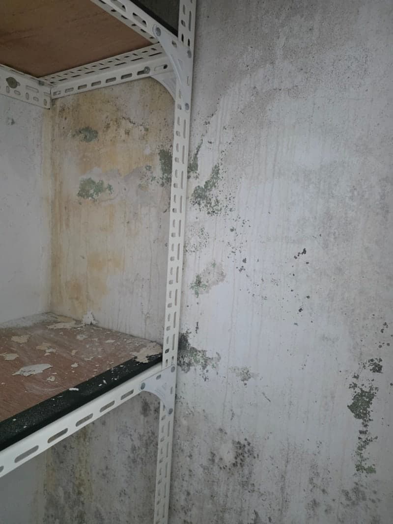 베란다 곰팡이 제거 시공 후기|결로로 부풀어 오른 페인트, 재발 방지까지 확실하게 현장 사진