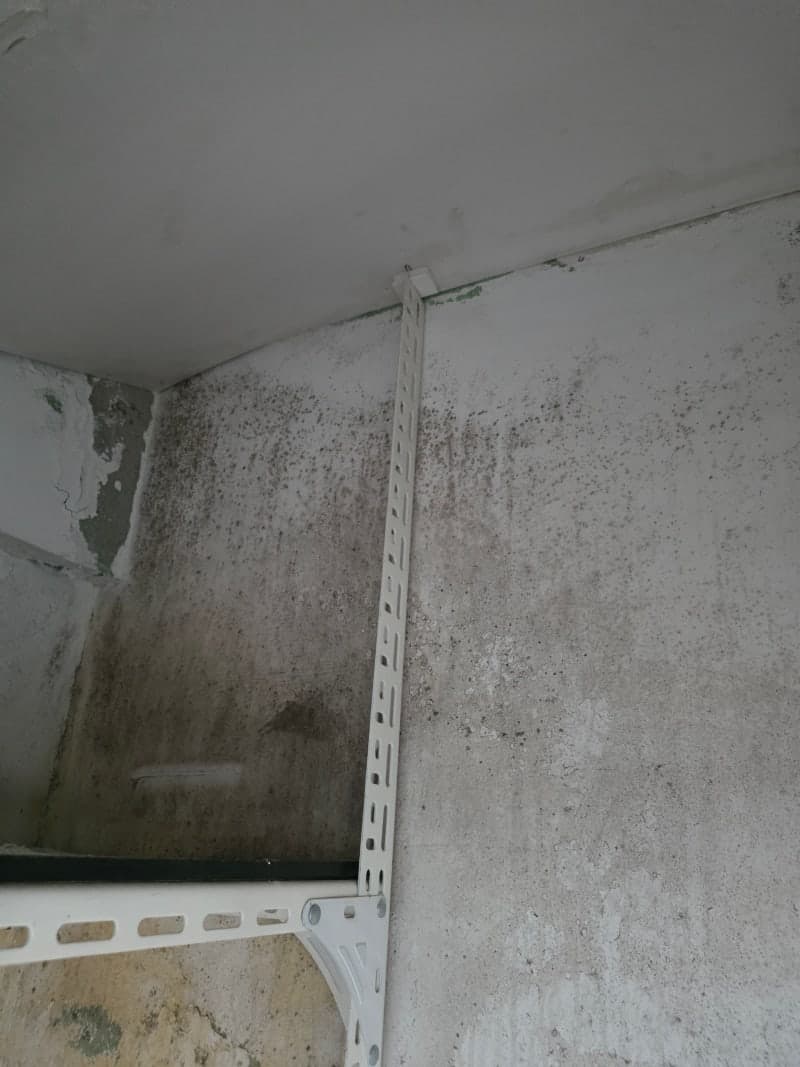 베란다 곰팡이 제거 시공 후기|결로로 부풀어 오른 페인트, 재발 방지까지 확실하게 현장 사진