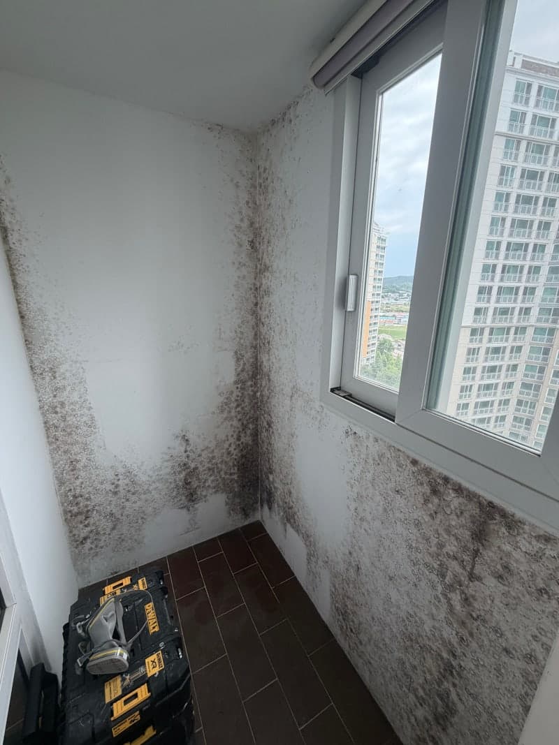 보일러실 베란다 곰팡이 제거ㅣ환기 부족과 결로로 심하게 번진 베란다 시공 사례 현장 사진
