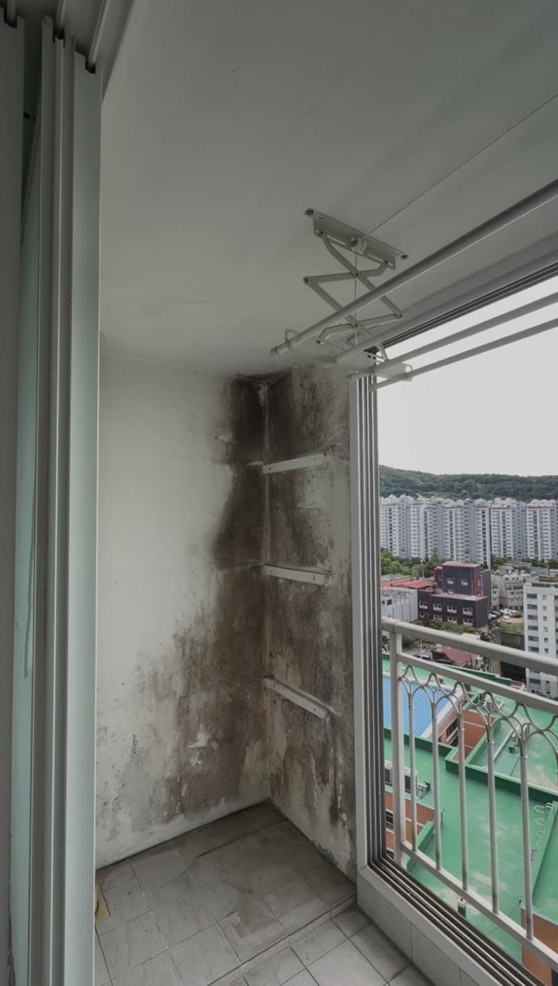 베란다 곰팡이 제거ㅣ결로로 페인트 들뜸, 벽지·장판 부분 시공 현장 현장 사진