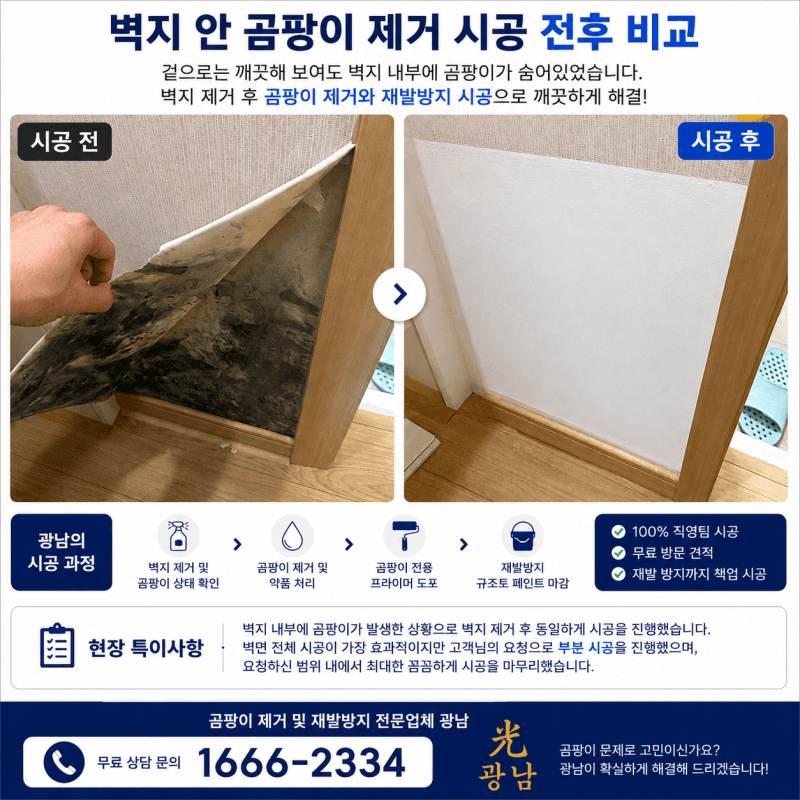 벽지는 멀쩡했는데… 뜯어보니 곰팡이가 가득했습니다. 현장 사진